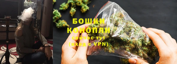 spice Арсеньев