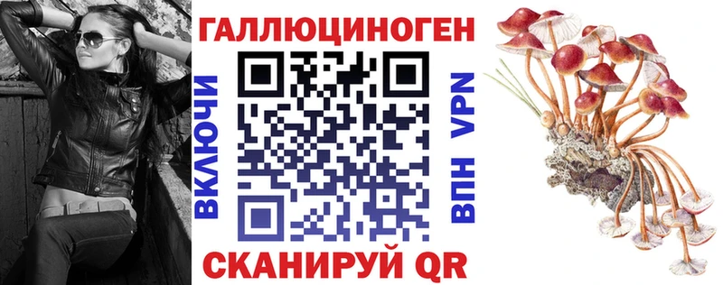 купить наркотик  Снежинск  Псилоцибиновые грибы MAGIC MUSHROOMS 